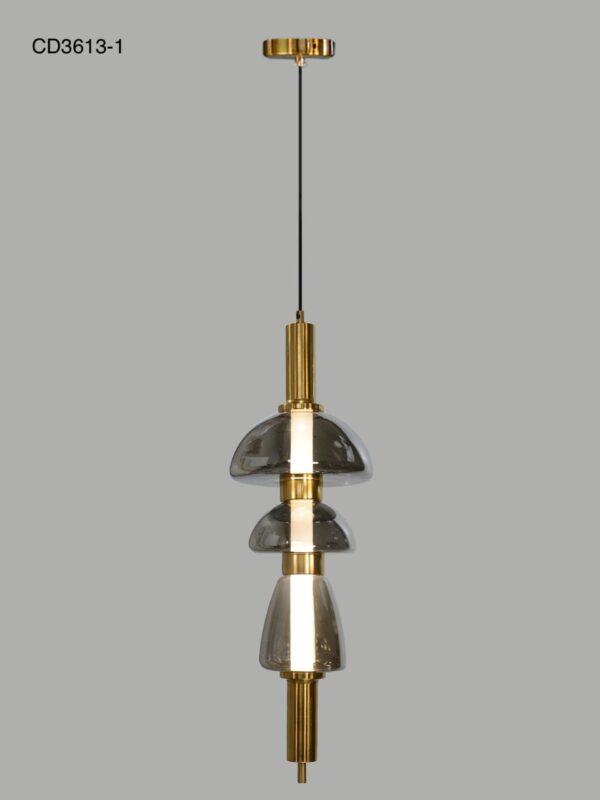 CD3613/1 HANGING LIGHT