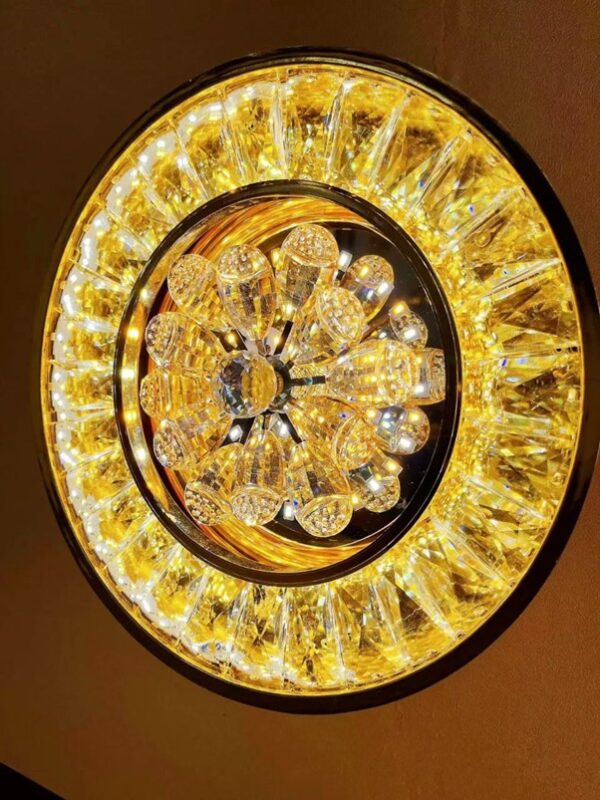 5696/300 CEILING LIGHT